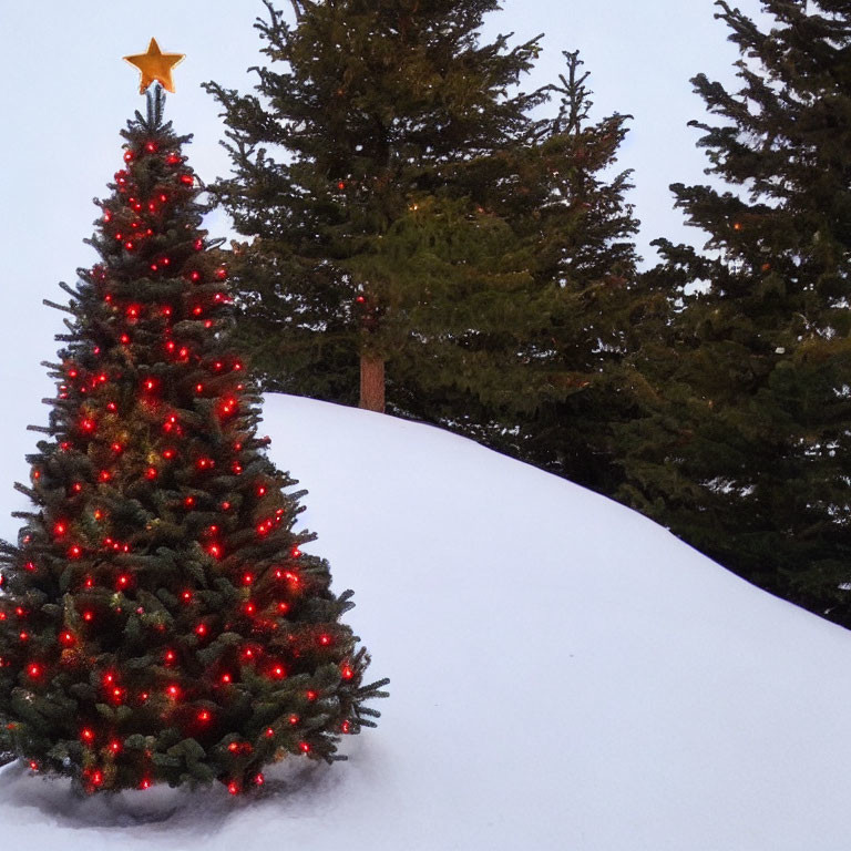 Festively decorated Christmas tree with red lights and golden star in snowy landscape