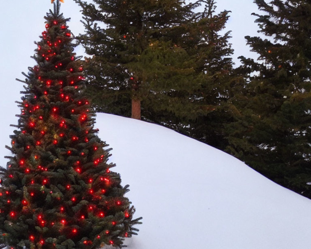 Festively decorated Christmas tree with red lights and golden star in snowy landscape