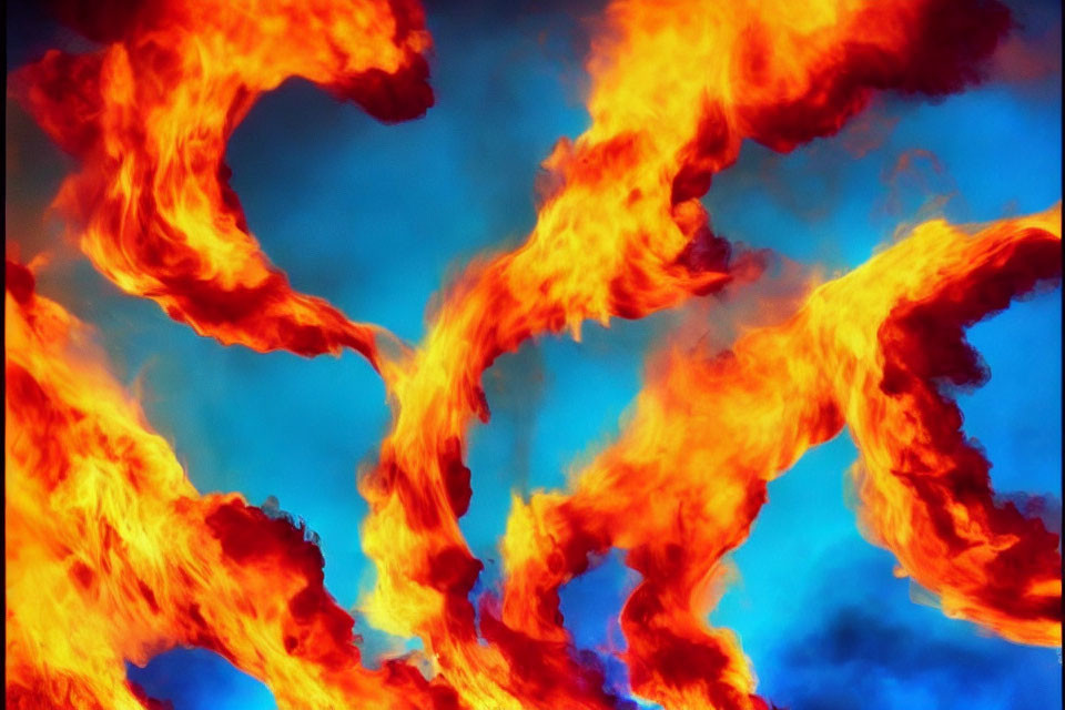 Vivid orange and blue flames intertwine in energetic dance