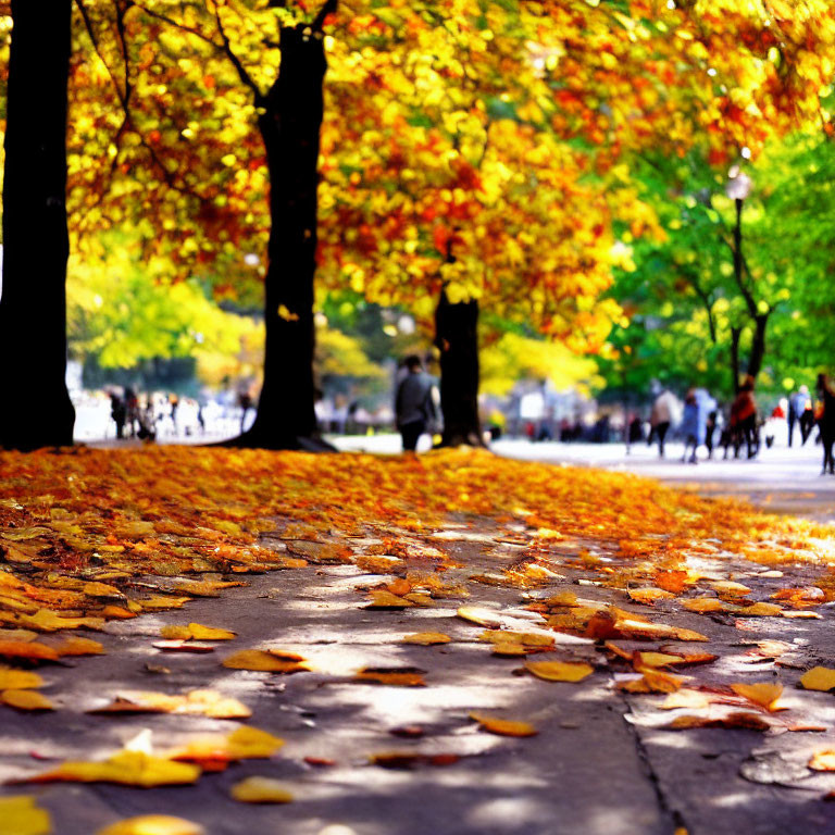 Park pathway with fallen yellow leaves and blurred people, autumn trees in fall colors