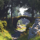 Sunlit Pathway Through Lush Forest with Green Foliage and Colorful Flowers