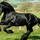 Steampunk-style mechanical horse with intricate gears gallops in front of ornate cityscape