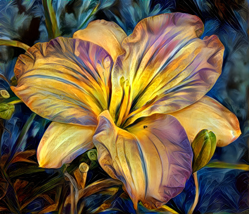 Golden Lily