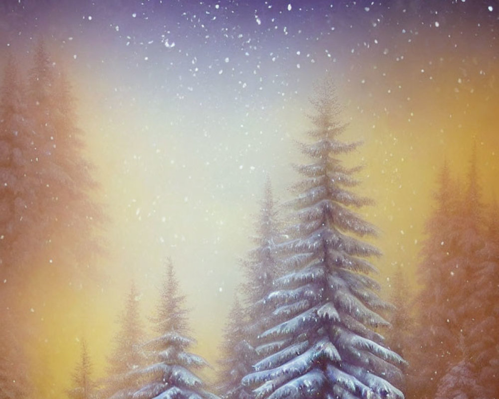 Starry Night Sky Over Snow-Covered Pine Trees