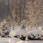 Winter landscape with glowing sunset and twinkling lights