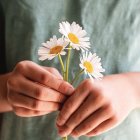 Close-up of elegant hands with red nail polish holding pink and white flowers surrounded by lush green leaves