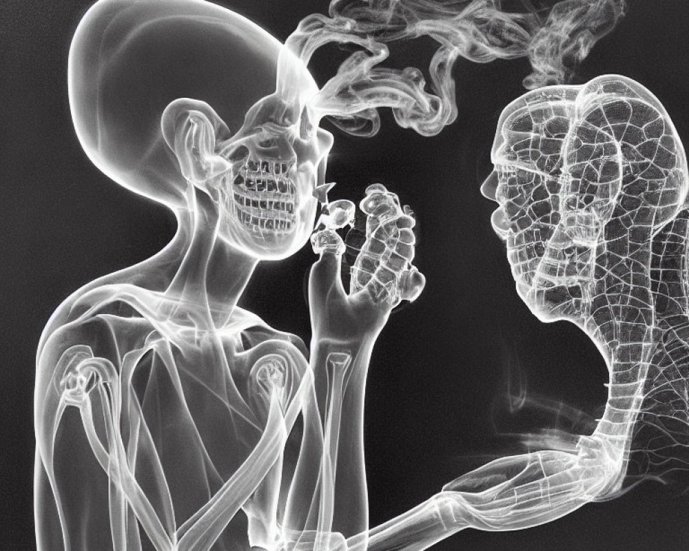 X-ray style illustration: Two figures with apple and smoke-like flow