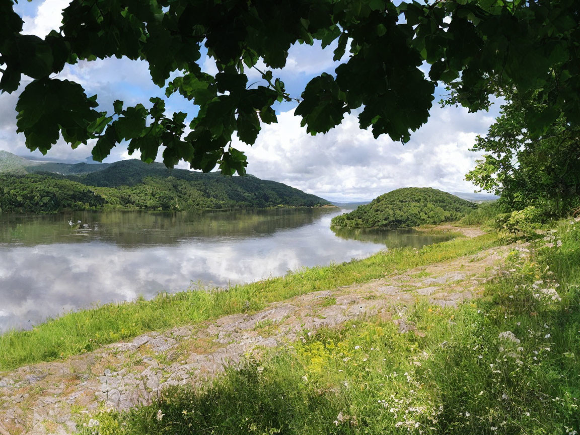 Serene river flowing through lush greenery and trees