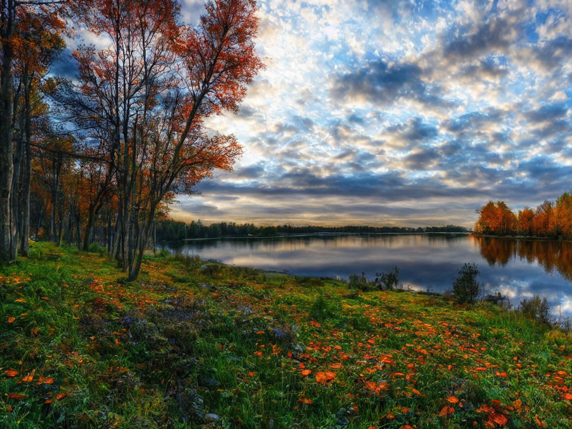 Vivid autumn landscape: calm lake, tranquil forest, dynamic sky