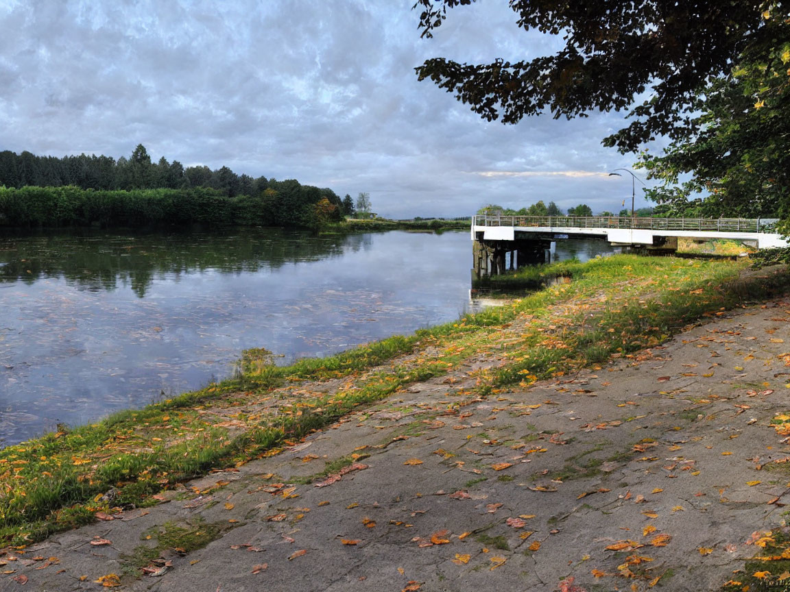 Tranquil river landscape with dock, trees, and cloudy sky