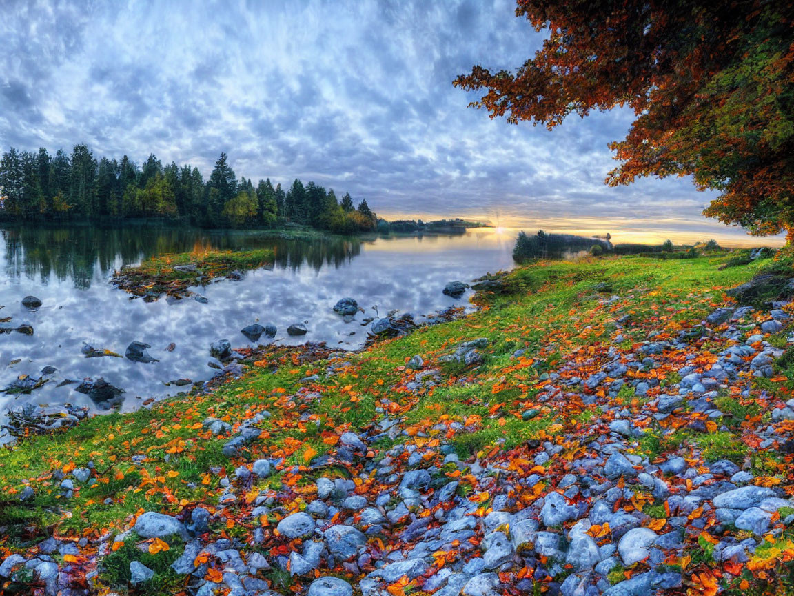 Colorful Autumn Leaves by Serene Lake at Sunrise or Sunset