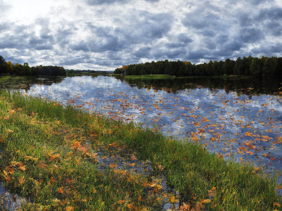 Tranquil river with autumn leaves, forest, and cloudy sky