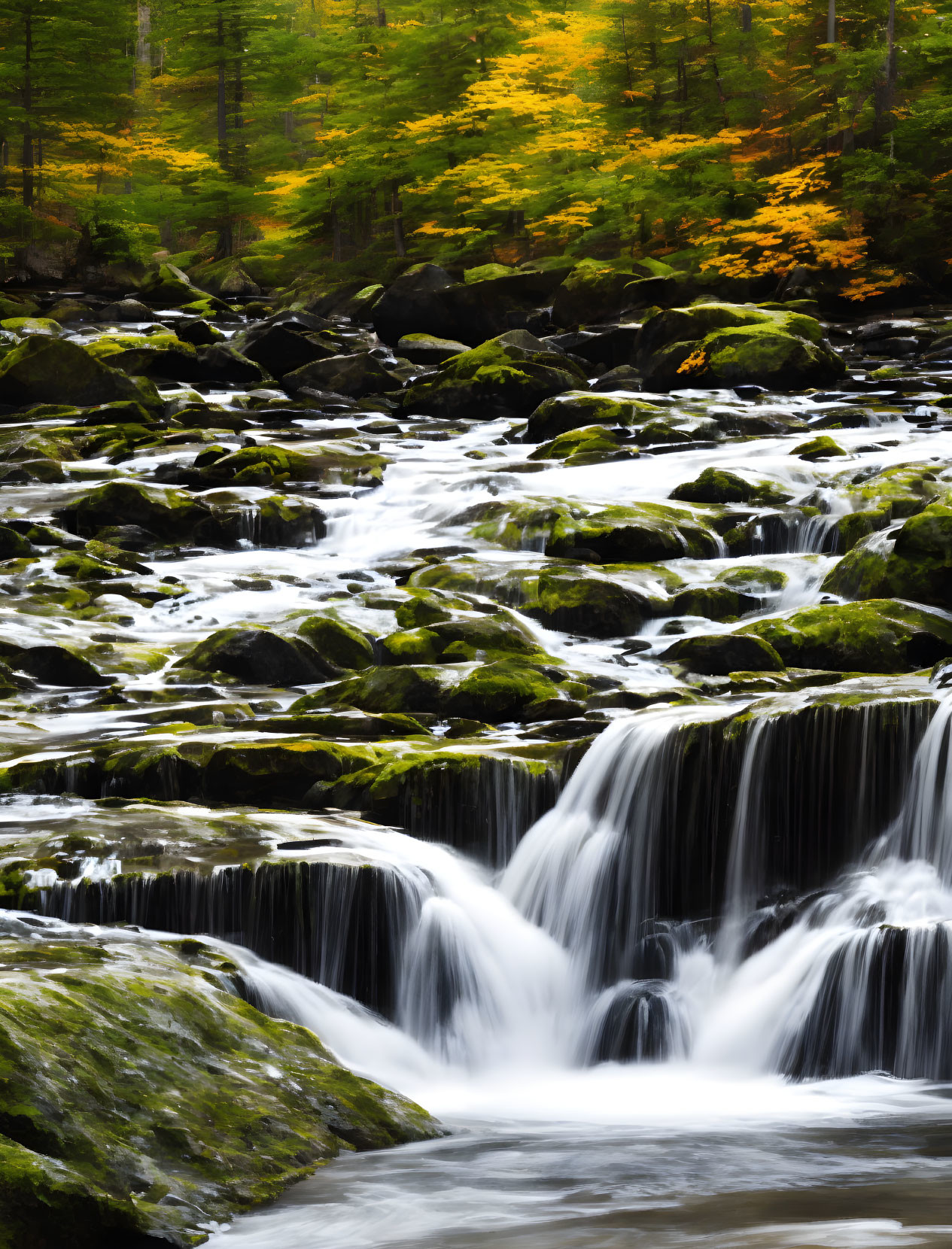 Tranquil waterfall scene in autumn forest