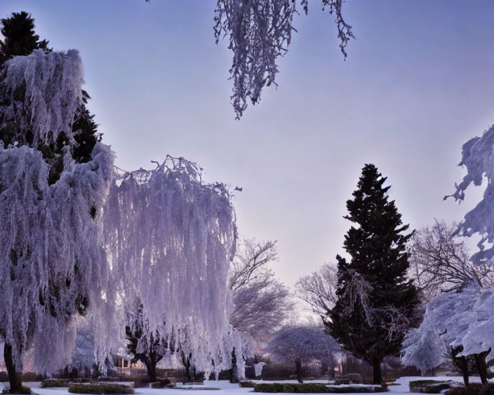 Snow-covered park with twilight hues of purple and blue.