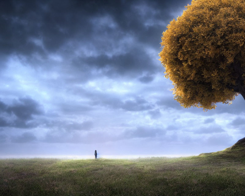 Solitary figure in vast field under dramatic sky near golden tree