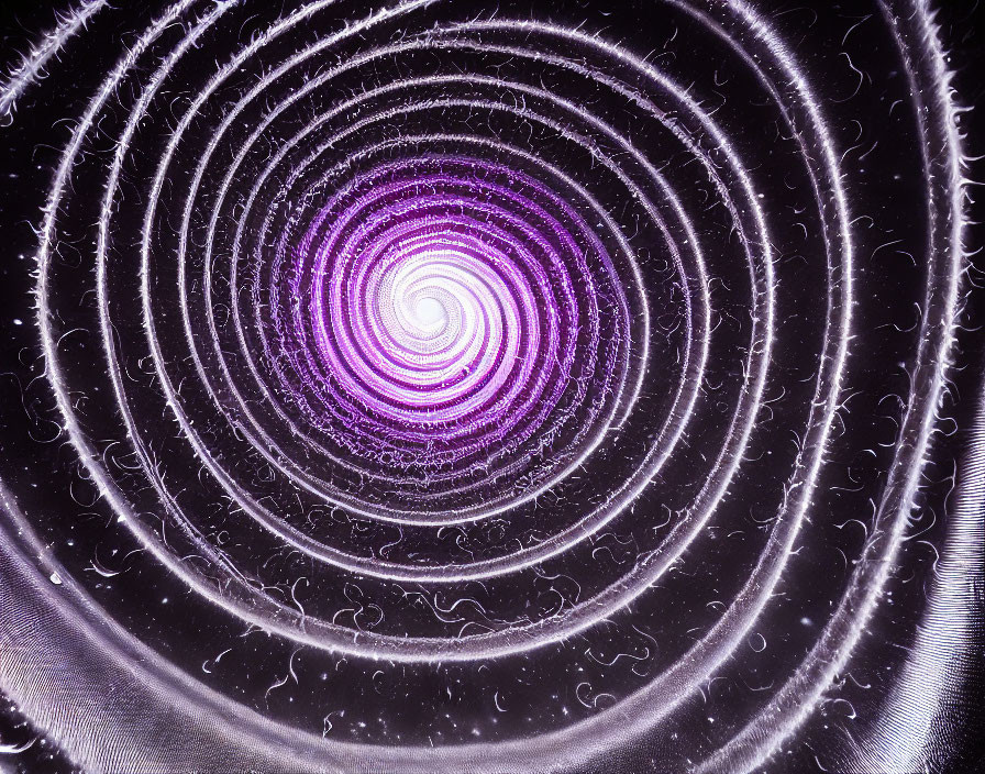 Purple Vortex with Concentric Circles on Black Background and Glowing White Particles