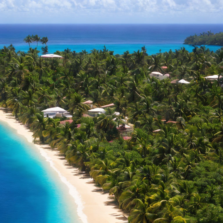 Tropical Beach with Palm Trees, White Sands, Turquoise Waters