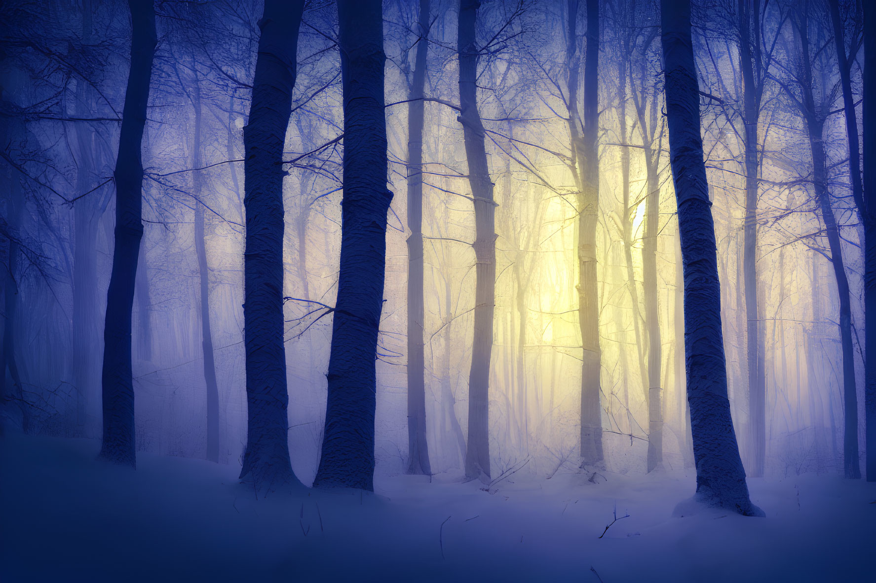 Snow-covered Blue Forest with Light Piercing Through Mist