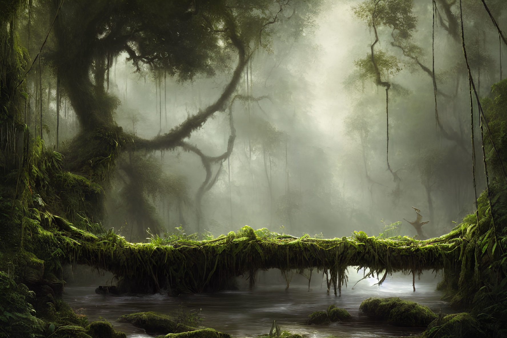 Mystical fog-shrouded forest with natural root bridge over stream