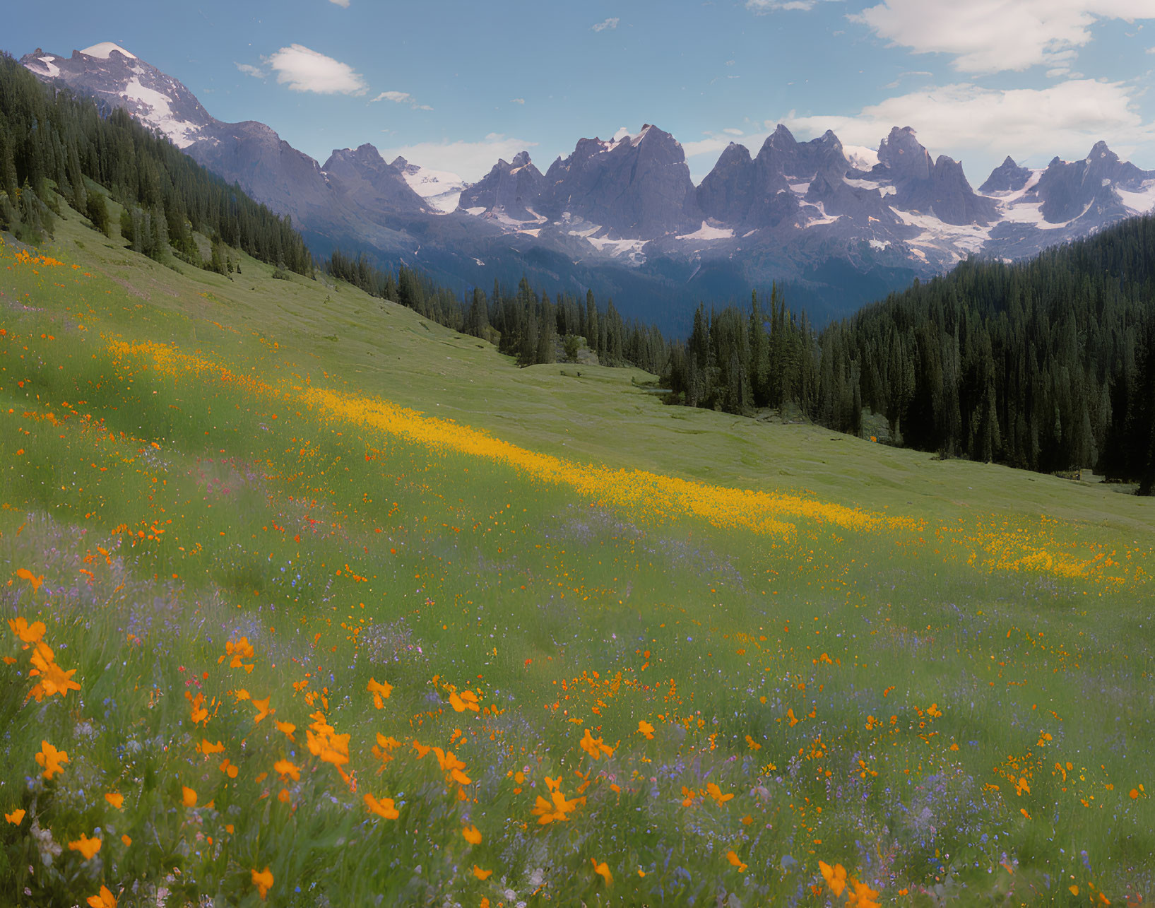 Scenic alpine meadow with yellow wildflowers and mountain range