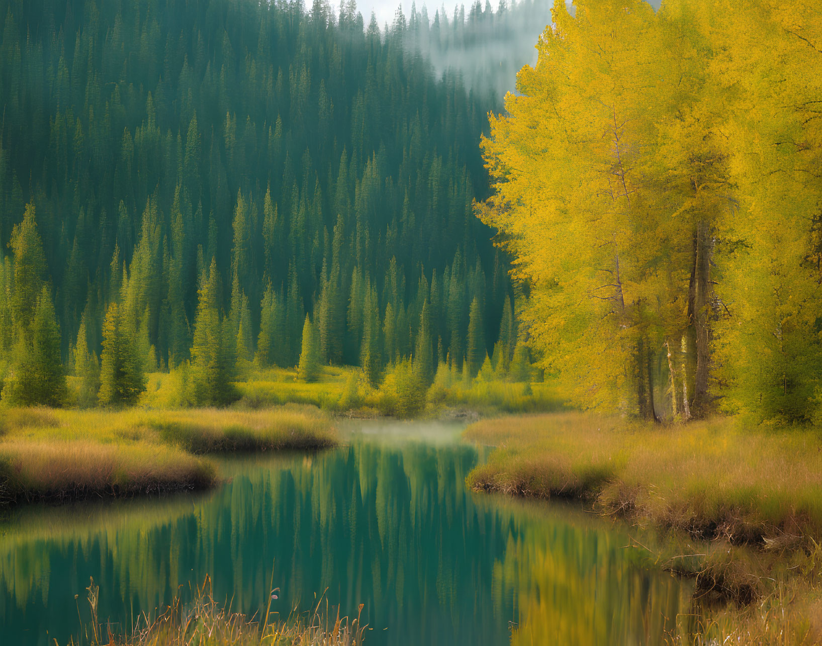 Tranquil forest scene with misty river and autumnal trees