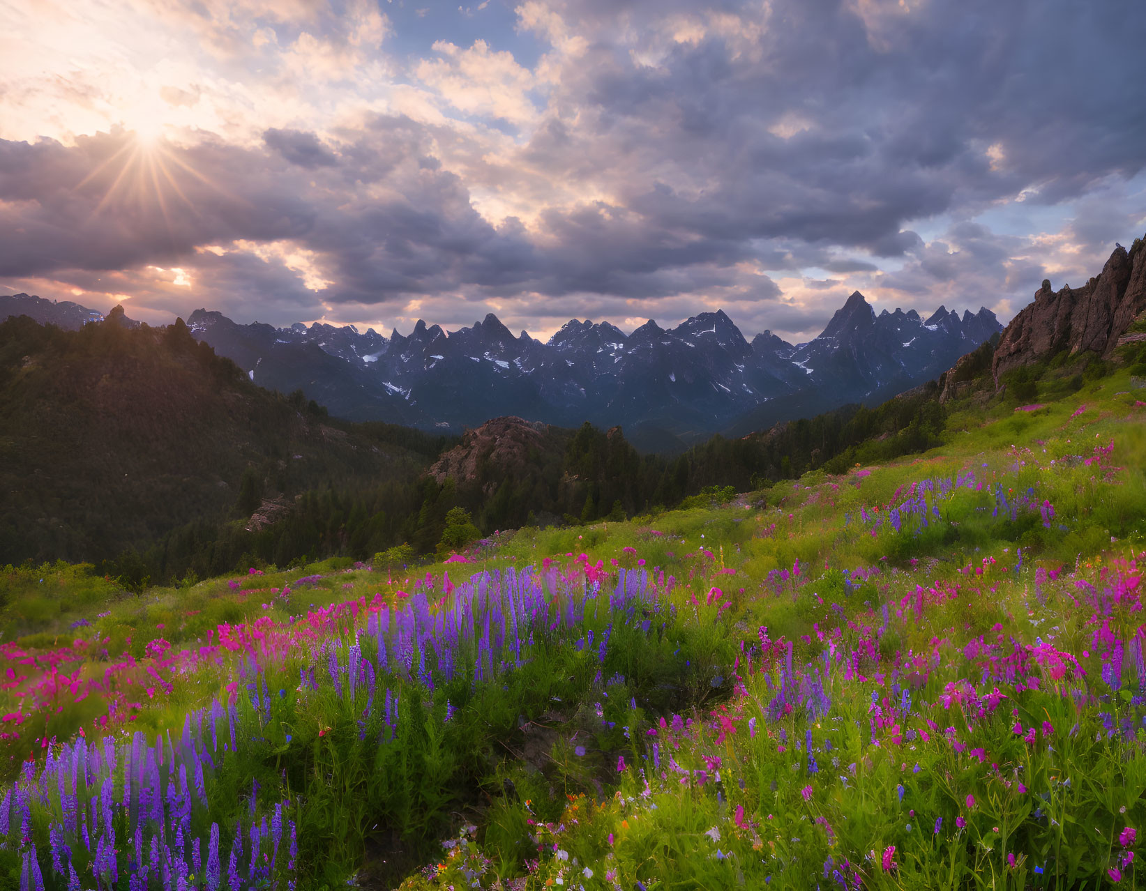 Vibrant sunset over mountain range with purple wildflowers.
