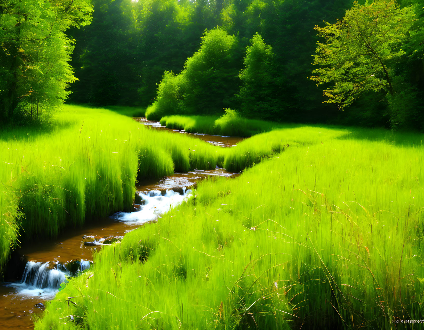 Tranquil stream in lush green meadow with trees and sunbeams