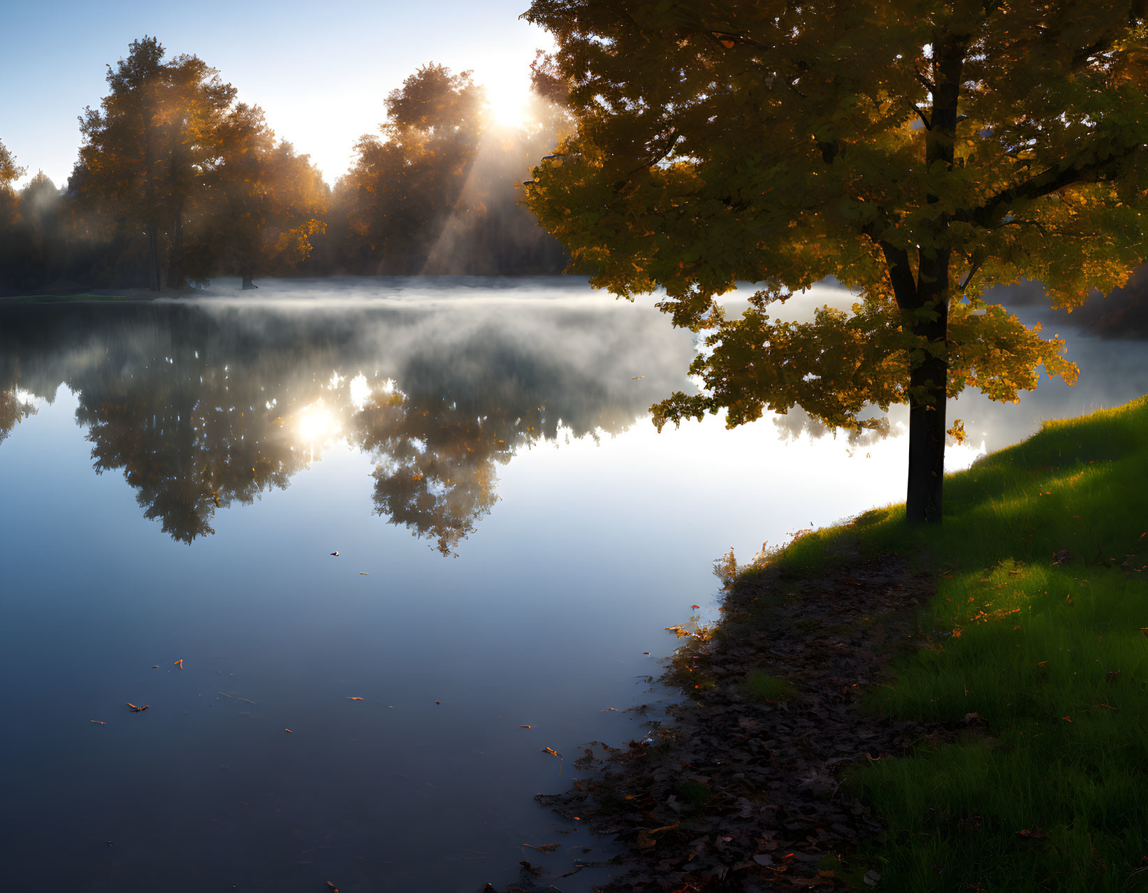 Tranquil lake with autumn trees and morning mist in serene setting