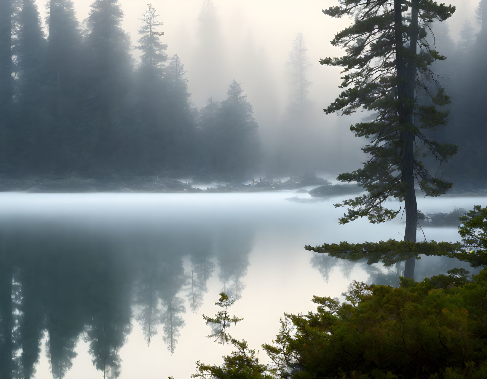 Tranquil misty lake with reflected trees in morning fog