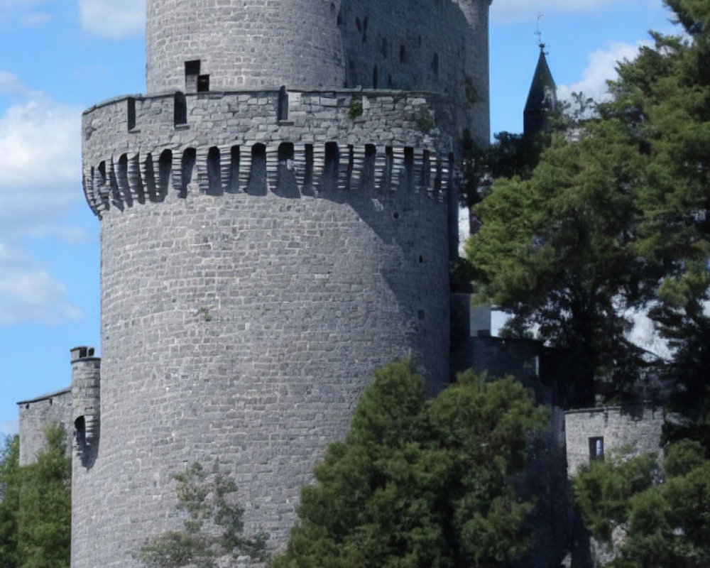 Medieval stone castle with round towers and crenellations under blue sky