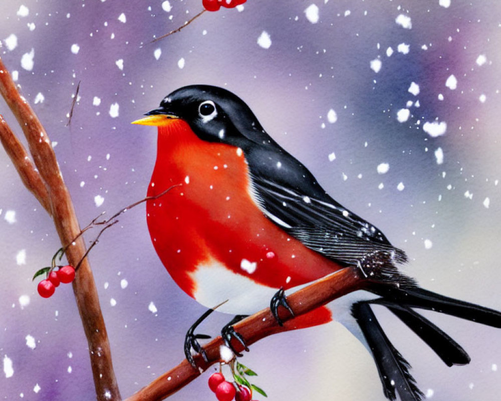 Colorful Robin Perched on Snowy Branch with Red Berries