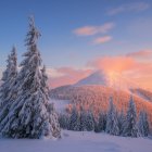 Winter sunset scene: snow-covered trees, pink clouds, frosty mountain forest.