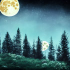 Starry night sky with two moons and pine tree silhouettes