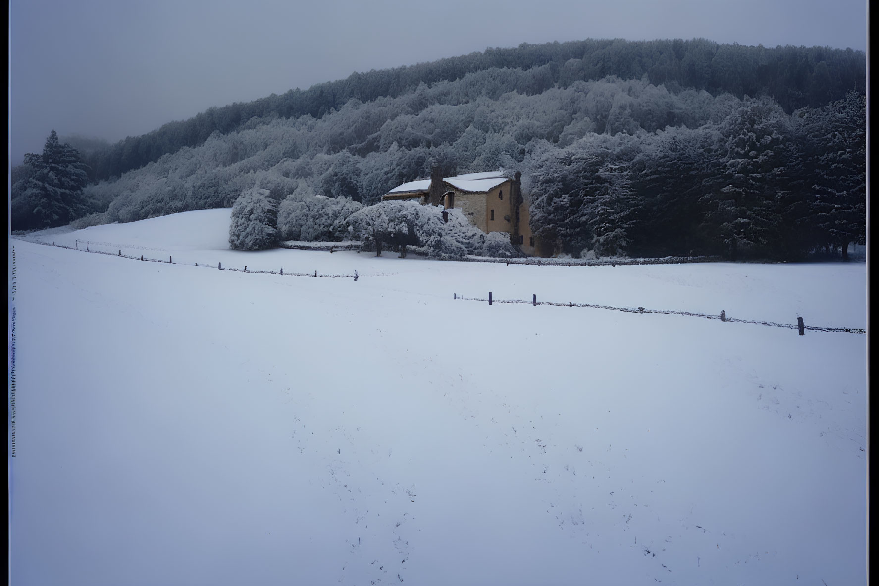 Snowy landscape with lone house and forest scenery