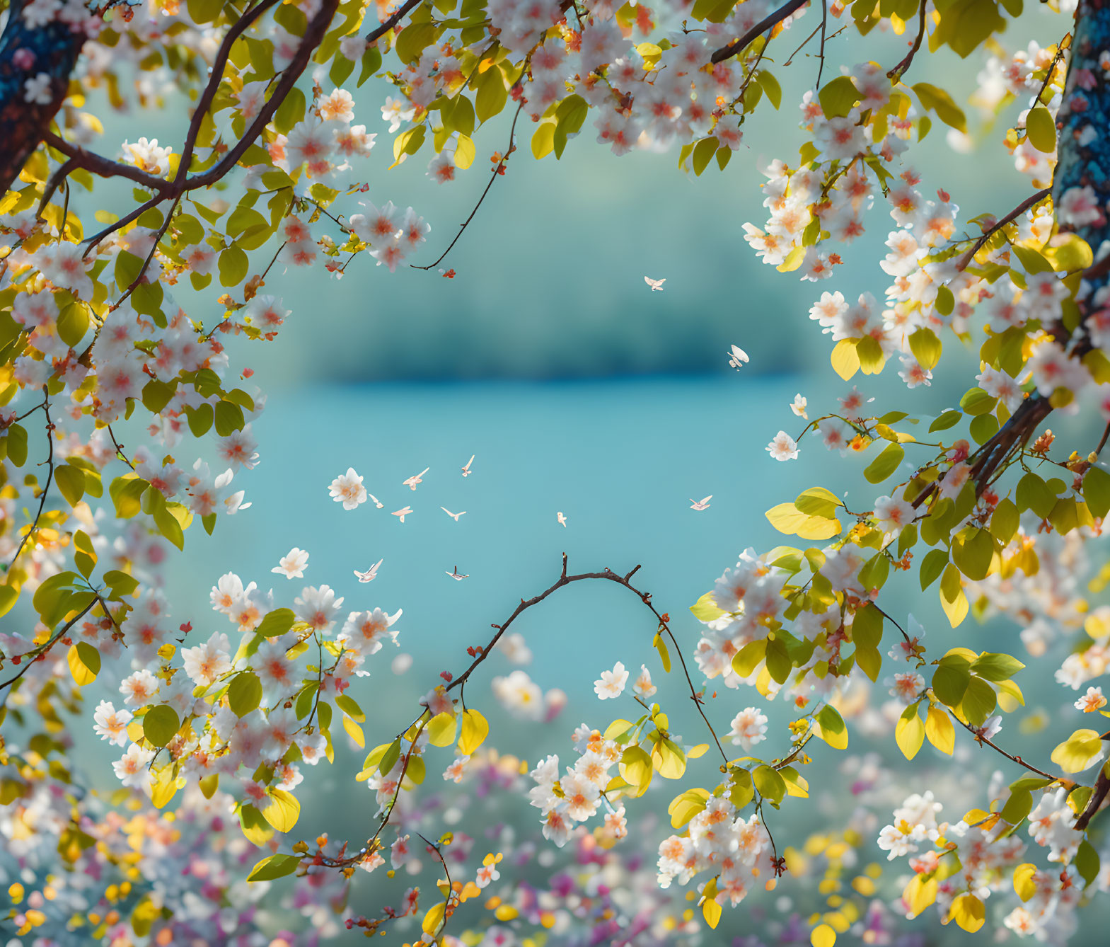 Springtime scene: Blossoming branches by serene blue lake with falling petals.