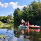 Vibrant greenery and clear water in lush wetland scenery