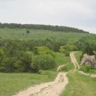 Serene landscape with winding road, lush greenery, and hidden house