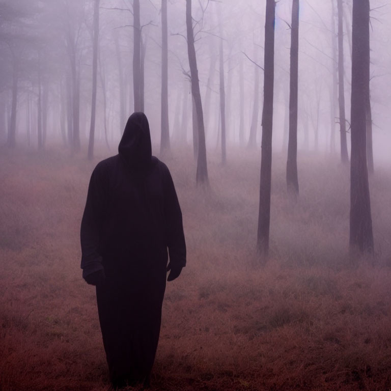 Cloaked Figure in Misty Forest Landscape