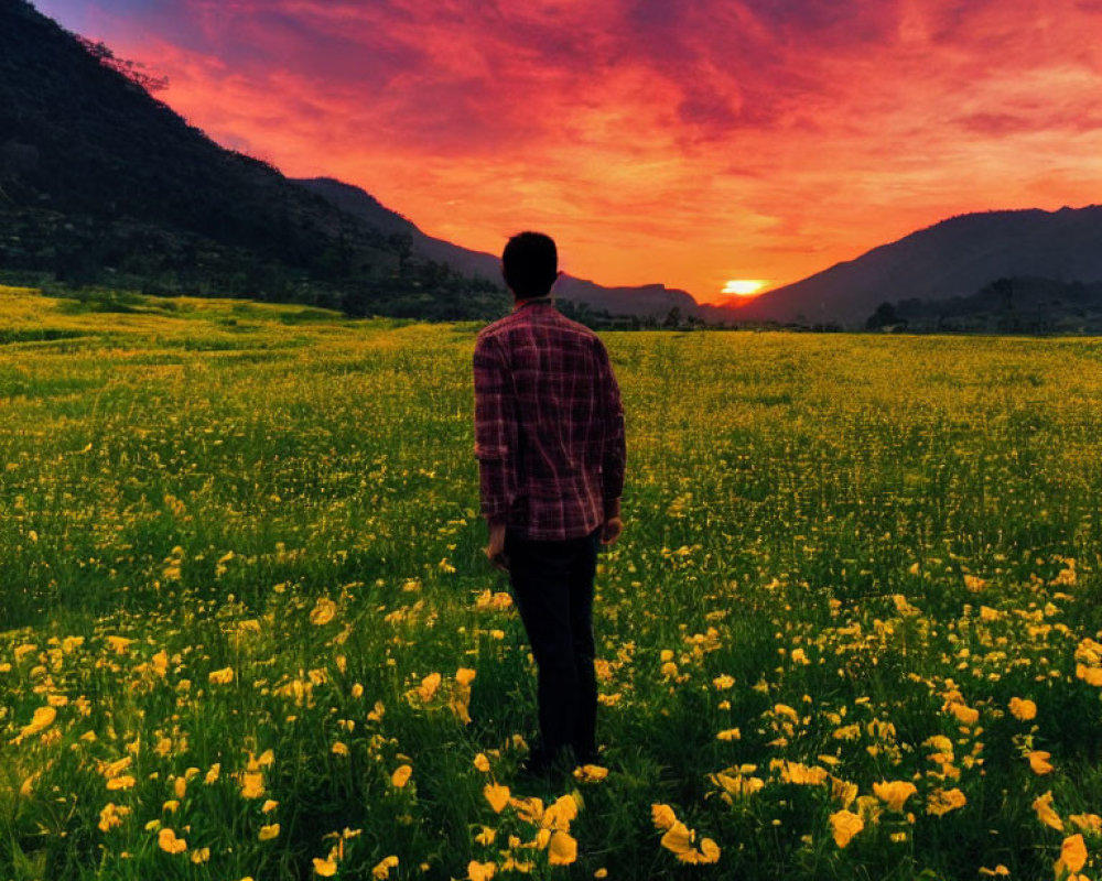 Person in Yellow Flower Field at Sunset with Red and Orange Sky