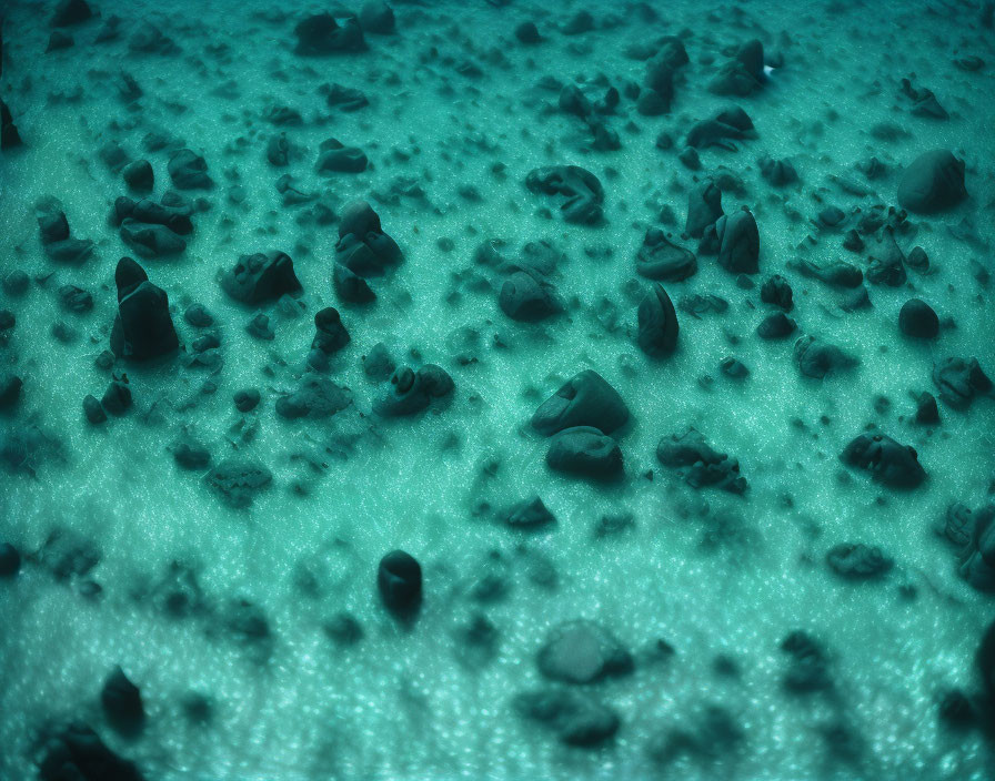 Scattered rocks on sandy sea floor in greenish-blue light