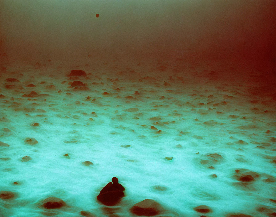 Underwater Scene: Turtle Swimming Over Sandy Sea Floor