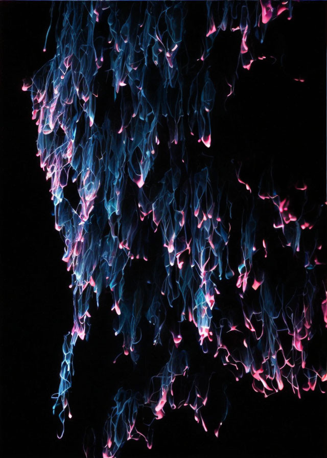 Abstract Glowing Blue and Pink Jellyfish Shapes on Dark Background