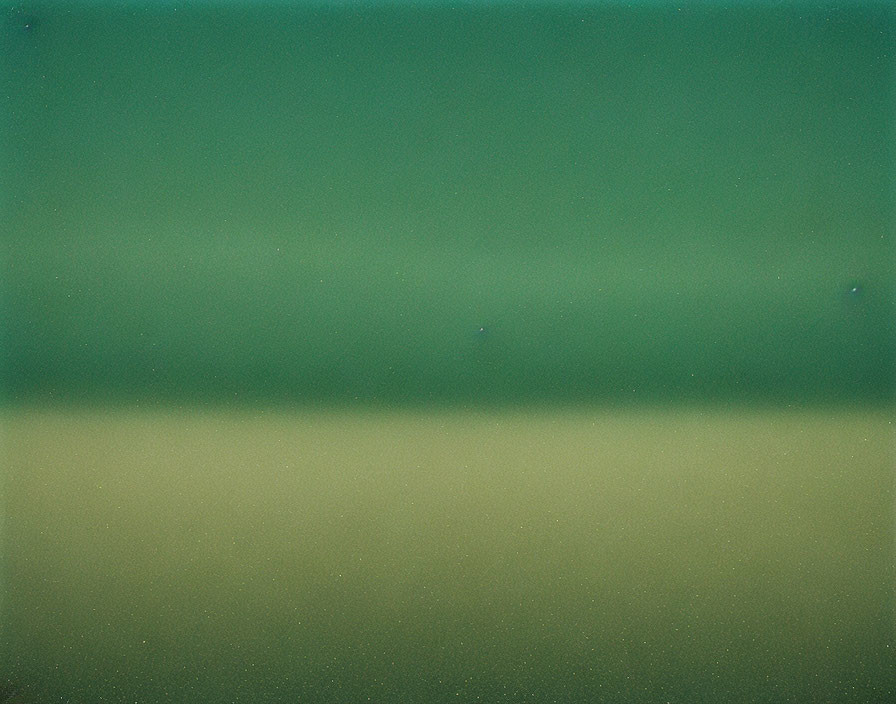 Grainy image with green gradient background.