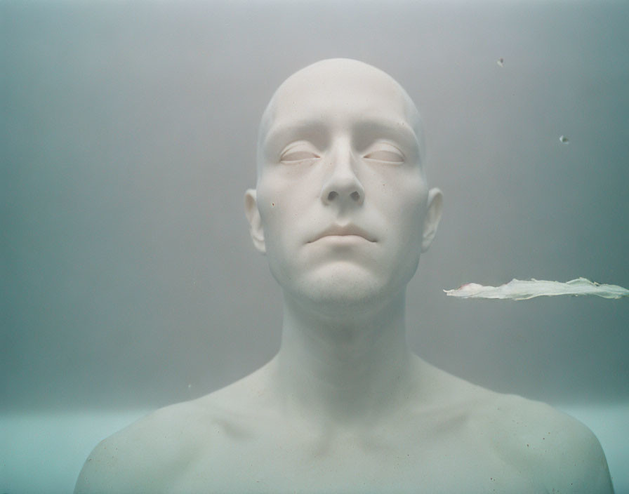 Mannequin head with closed eyes submerged in cloudy water