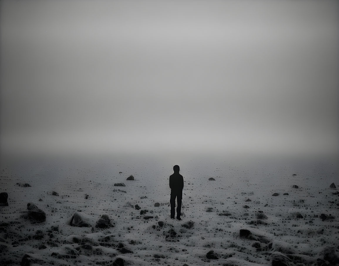 Silhouette of person in foggy, desolate landscape with rocks.