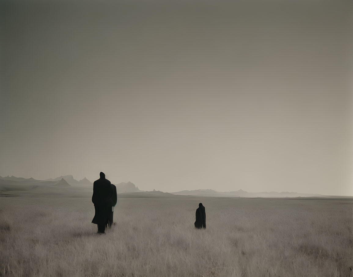 Silhouetted figures in barren landscape with tall grass and mountains.