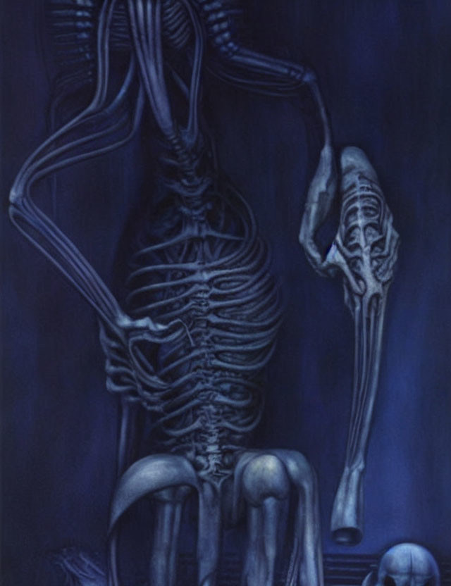 Human skeleton in contemplative pose with skull on deep blue background