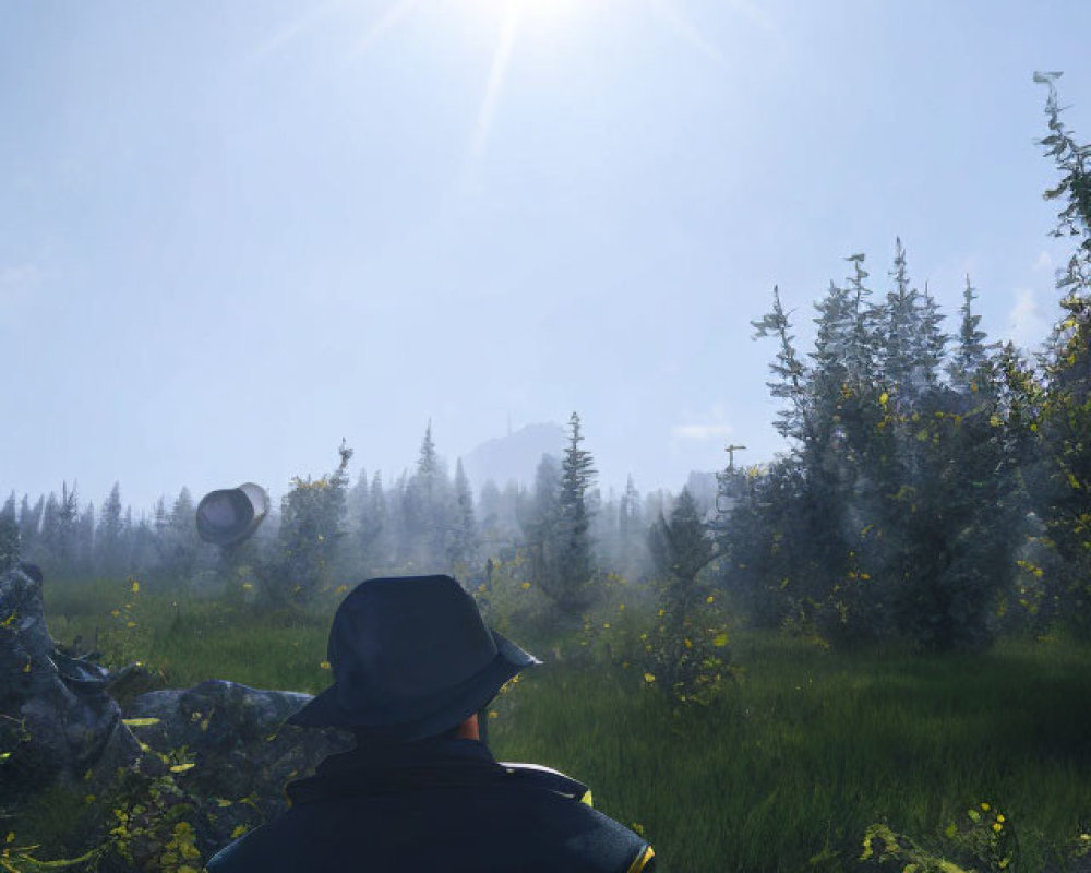 Person in cap gazes at bright sun over lush green meadow with trees and distant structure against blue