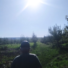 Person in cap gazes at bright sun over lush green meadow with trees and distant structure against blue