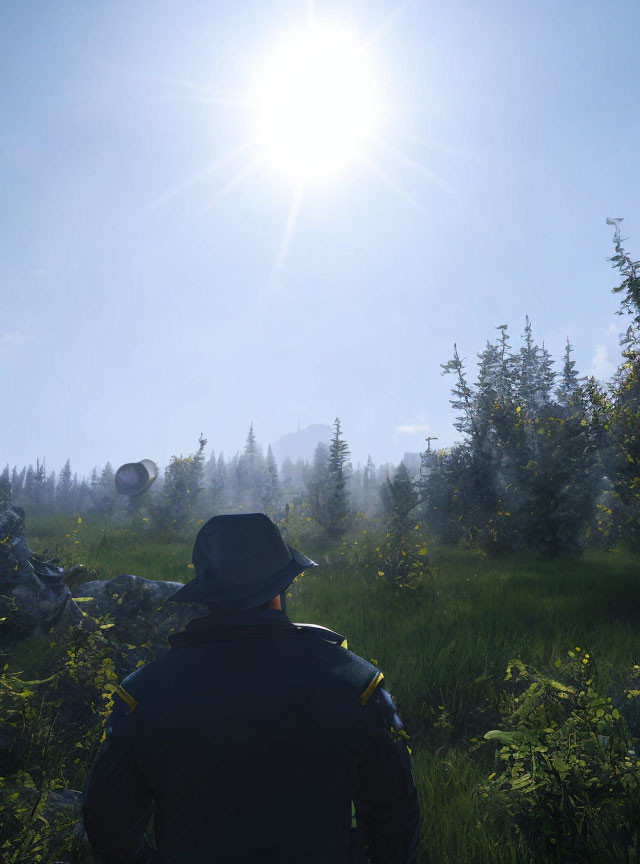 Person in cap gazes at bright sun over lush green meadow with trees and distant structure against blue
